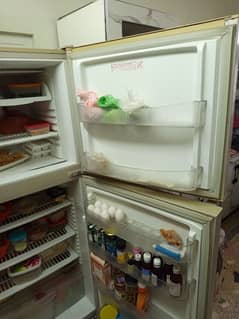 large fridge for sale company pel