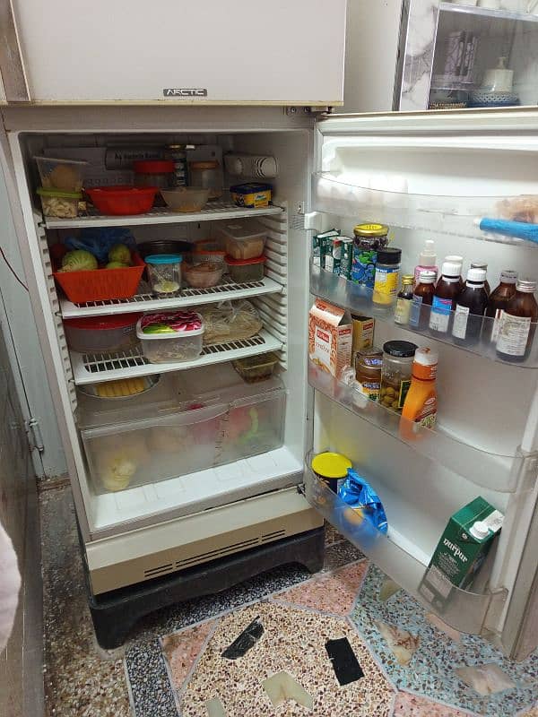 large fridge for sale company pel 1