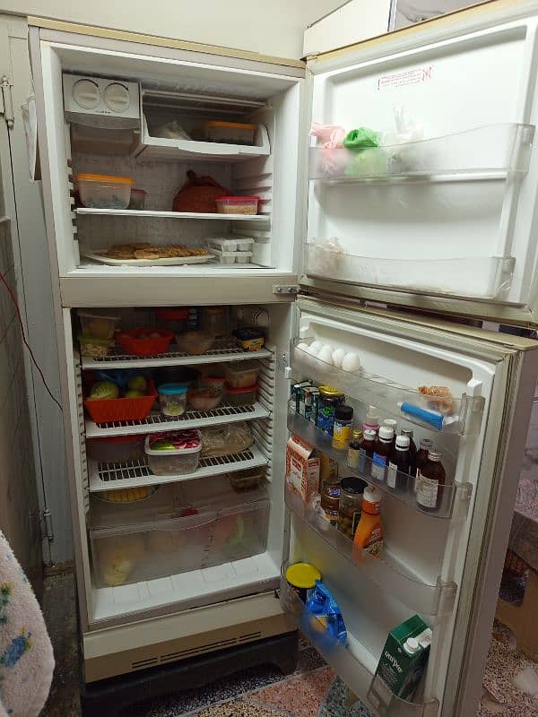 large fridge for sale company pel 2