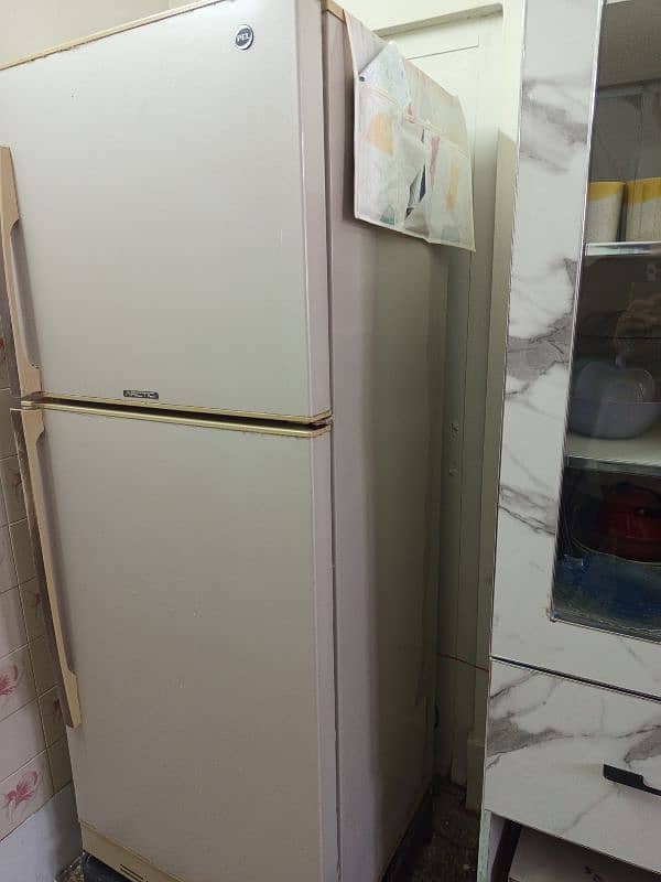 large fridge for sale company pel 5