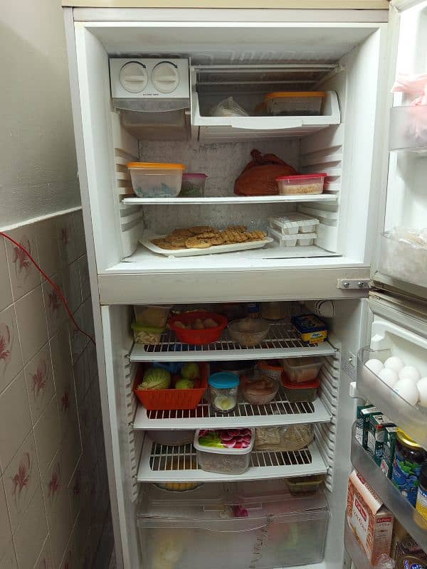 large fridge for sale company pel 6