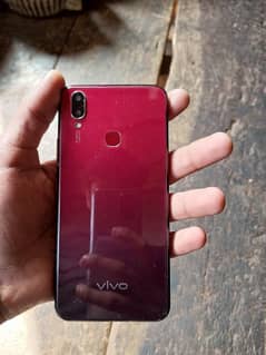 Vivo