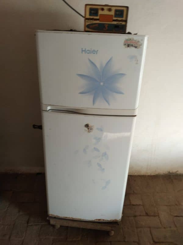 fareezar haier 0