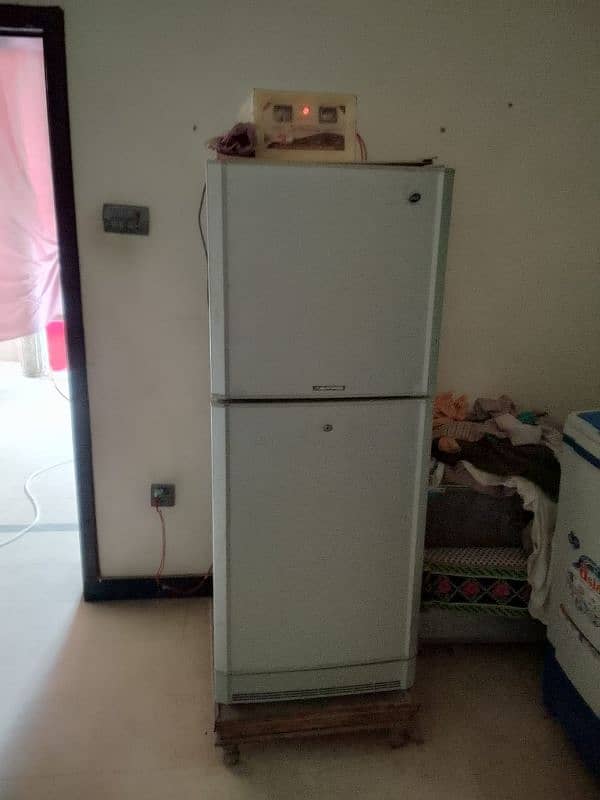 medium size fridge 1