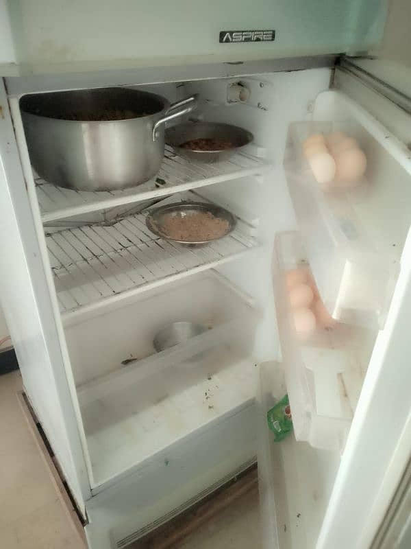 medium size fridge 3