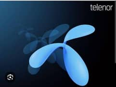 Required Staff For Telenor Franchise