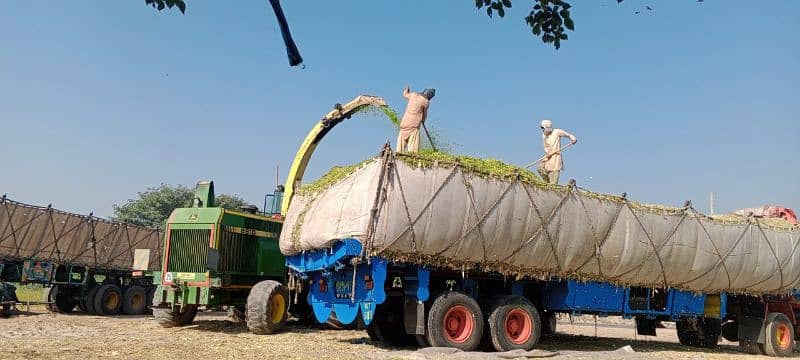 taj silage company 8