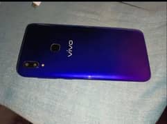 vivo