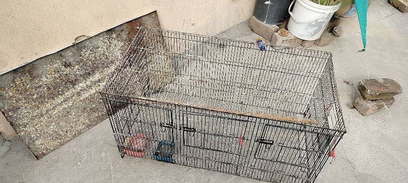 cage for sale with tray 0