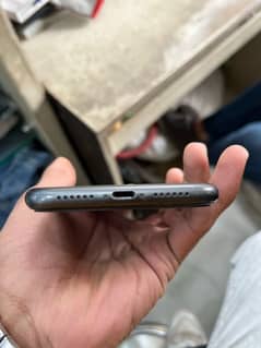 iphone11 dual pta approved 10 by 9.5