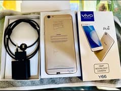 vivo