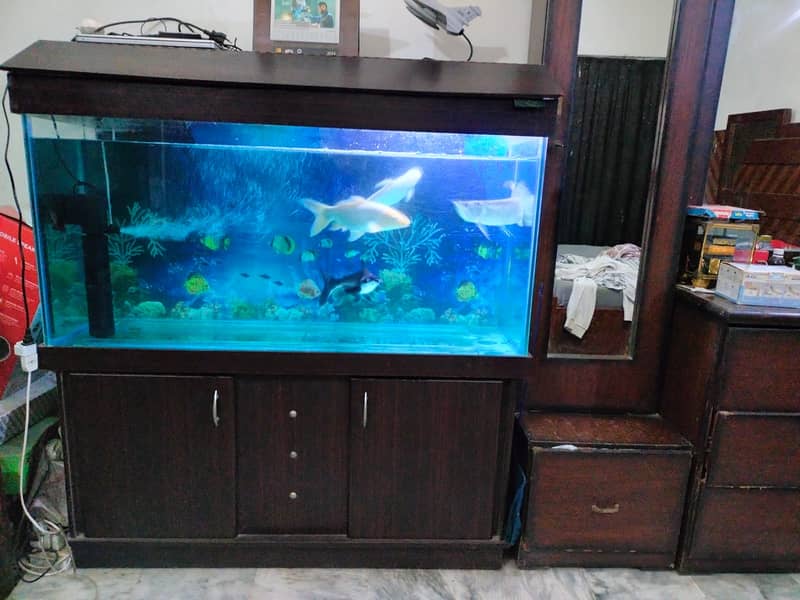 Fish Aquariums/ Aquariums For Sale / Fish / Turtle Aquarium 5