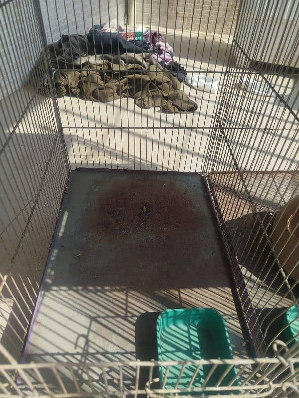 4 portion parrots cage/hen cage 11