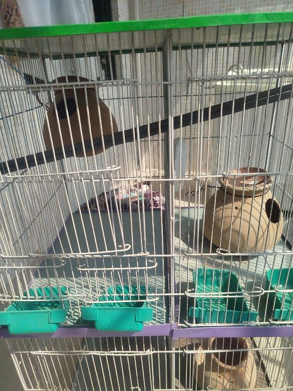 4 portion parrots cage/hen cage 12