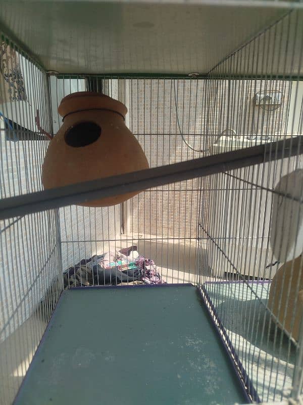 4 portion parrots cage/hen cage 13