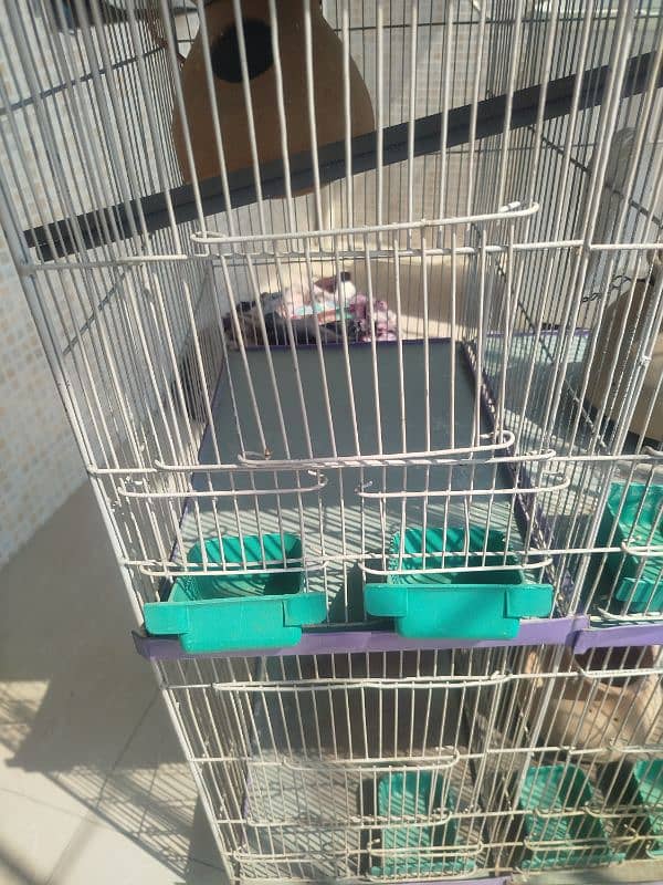 4 portion parrots cage/hen cage 15