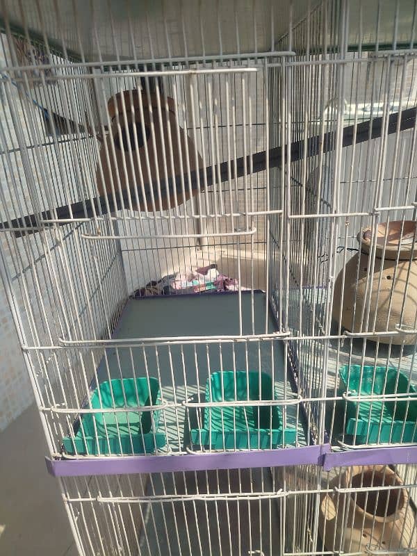 4 portion parrots cage/hen cage 16