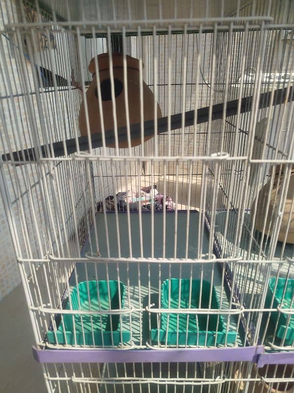 4 portion parrots cage/hen cage 18