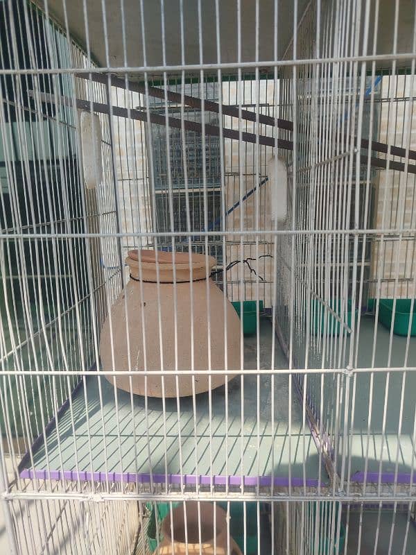 4 portion parrots cage/hen cage 19