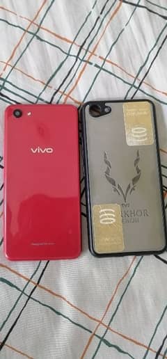 vivo