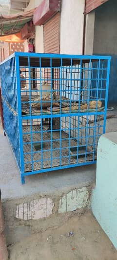 Chicken poultry cage for sale