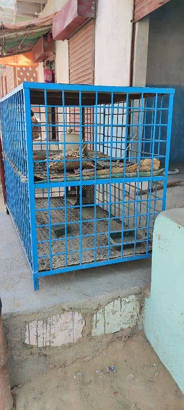 Chicken poultry cage for sale 0