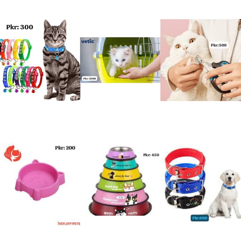 Pet Accessories /cage / Food  / box / All birds Accessories 1