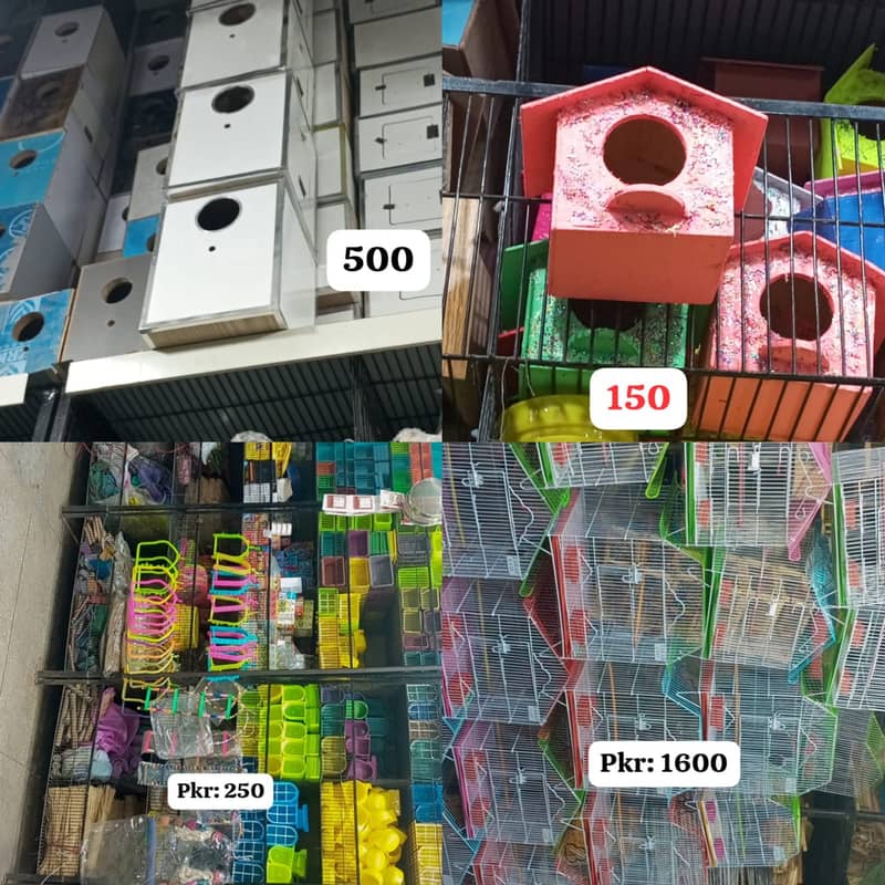 Pet Accessories /cage / Food  / box / All birds Accessories 3