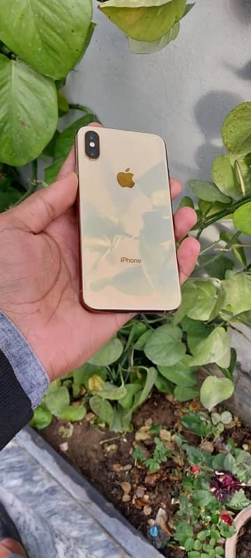 iPhone XS 256gb 1