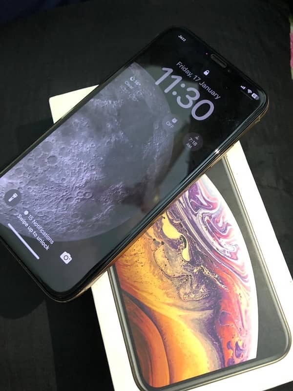 IPhone XS 64 Gb All Ok 0