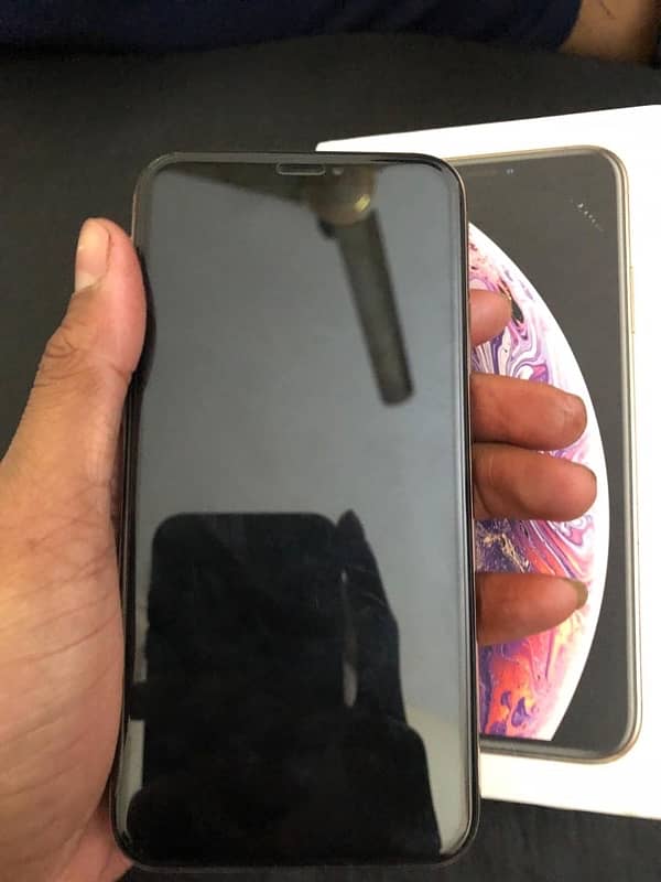 IPhone XS 64 Gb All Ok 3