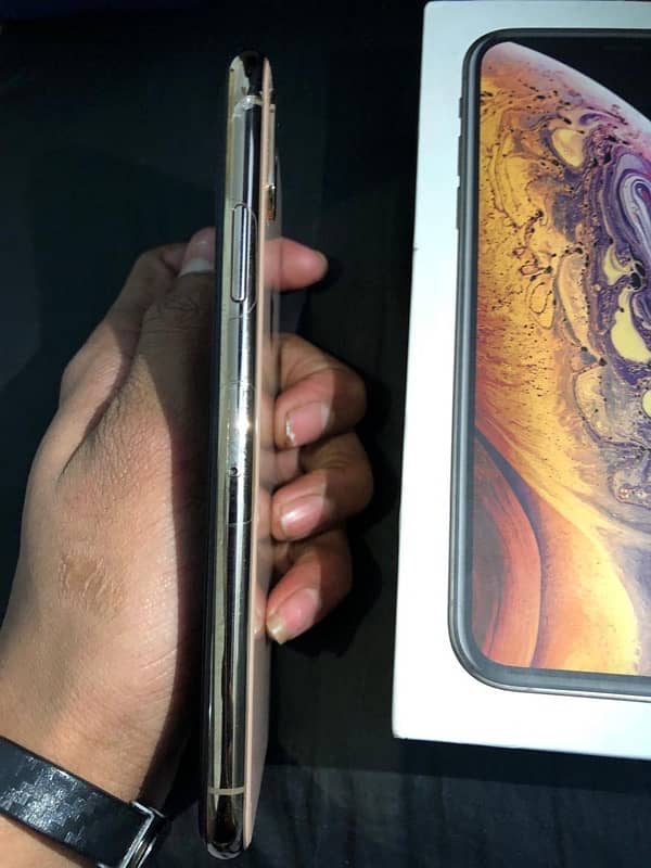 IPhone XS 64 Gb All Ok 5