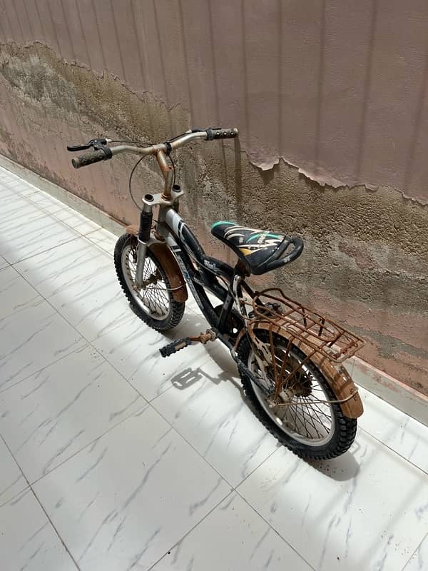 Lionking Cycle 0