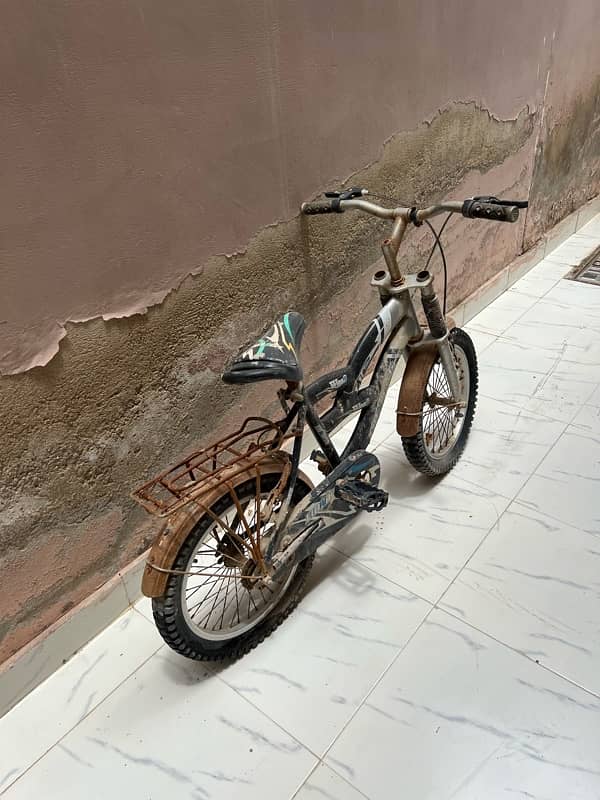 Lionking Cycle 2