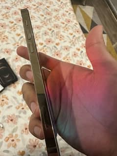 iPhone 12 Pro 128gb gold PTA approved 84% battery health