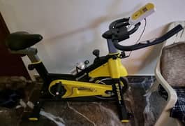 Magnetic Spin Bike