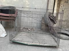 cage for sale with box