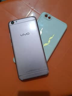 vivo