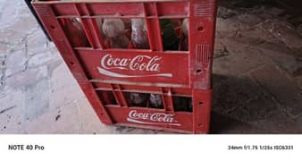 coca