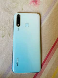 vivo