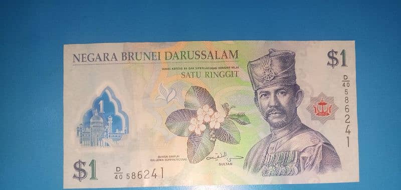 bank note 15