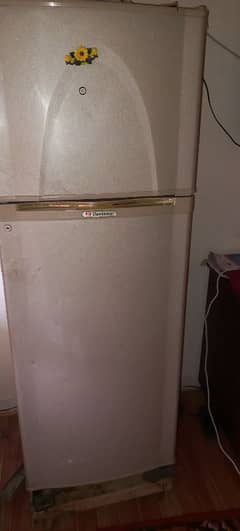 Fridge