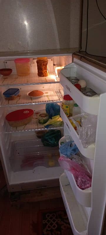 Fridge 1