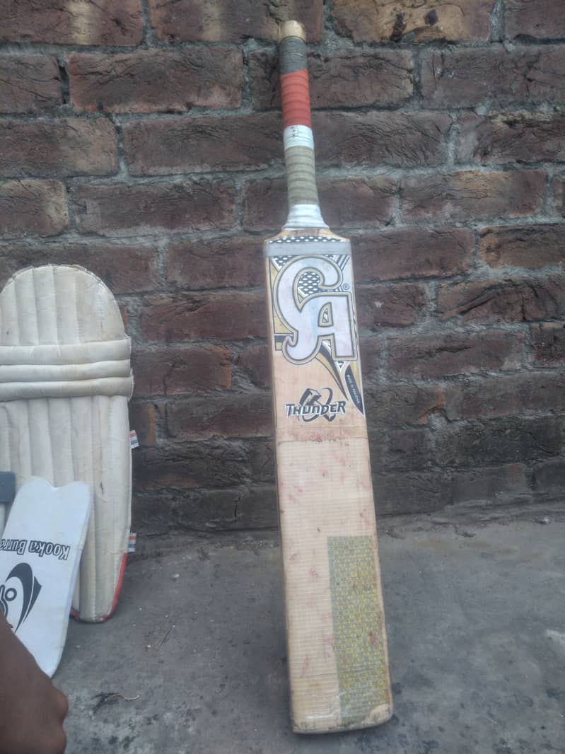 Cricket kit 1