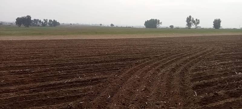 Industrial Land For Sale In   Barotha Road, Mouza Surkh Salar, Attock  Punjab 4