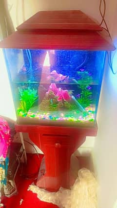 aquarium and fish for sel