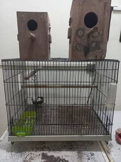 Bird cage