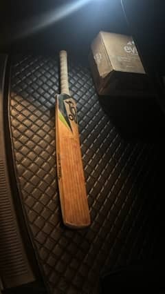 cricket bat for sale