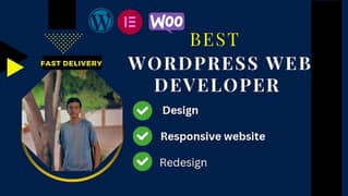 Build a professional customized, and responsive, WordPress Website