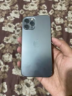 iphone 12 pro pta approved